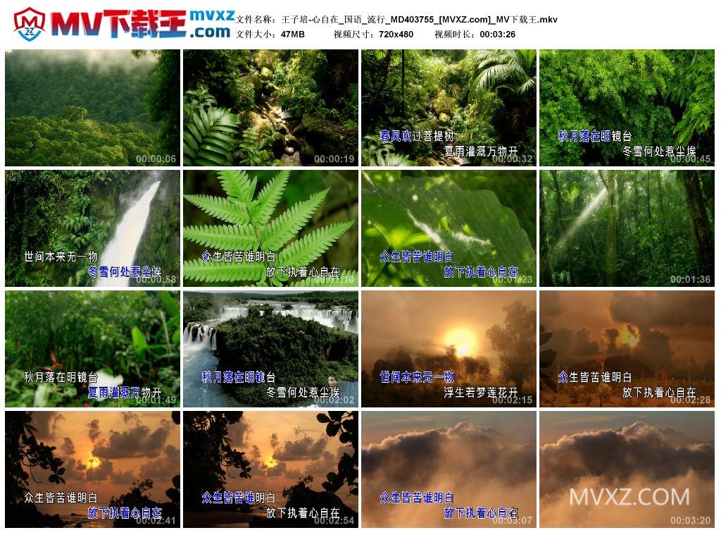 王子培-心自在_国语_流行_MD403755